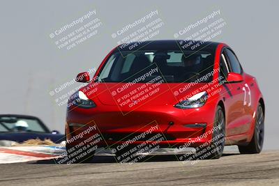 media/Jul-26-2025-Speed Ventures (Sat) [[fe569e6cf0]]/Purple Group/Grapevine/
